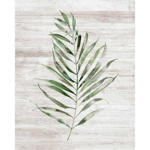 Tropic Frond II Black Modern Wood Framed Art Print by Nan