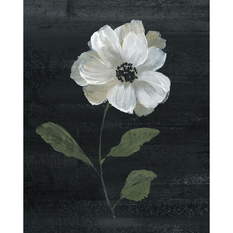 Country Botanical I Black Modern Wood Framed Art Print with Double Matting by Nan