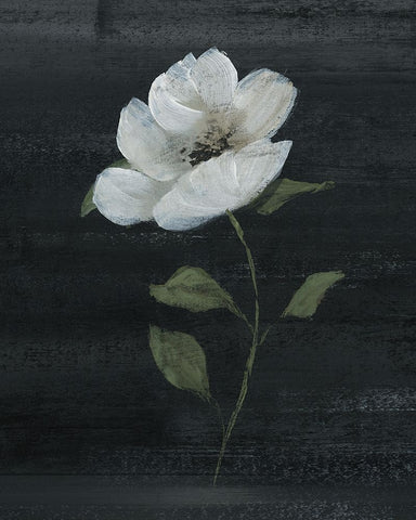 Country Botanical II White Modern Wood Framed Art Print with Double Matting by Nan