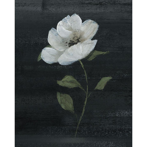 Country Botanical II Black Modern Wood Framed Art Print with Double Matting by Nan