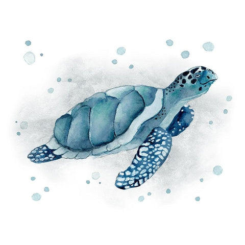 Blue Turtle I White Modern Wood Framed Art Print by Tava Studios