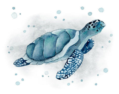 Blue Turtle I White Modern Wood Framed Art Print with Double Matting by Tava Studios