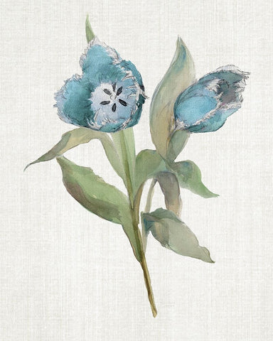 Blue Tulip Picks I White Modern Wood Framed Art Print with Double Matting by Troise Heidel, Theresa