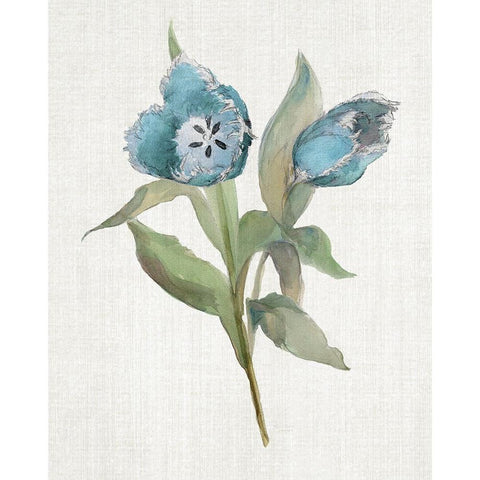 Blue Tulip Picks I White Modern Wood Framed Art Print by Troise Heidel, Theresa