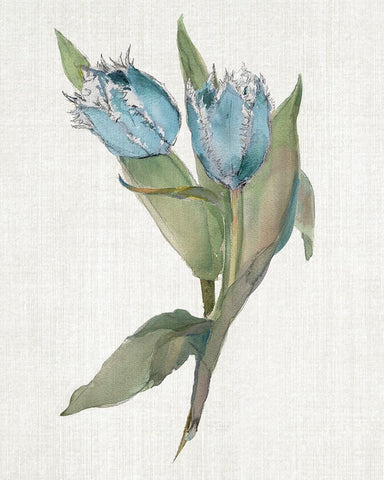 Blue Tulip Picks II Black Ornate Wood Framed Art Print with Double Matting by Troise Heidel, Theresa