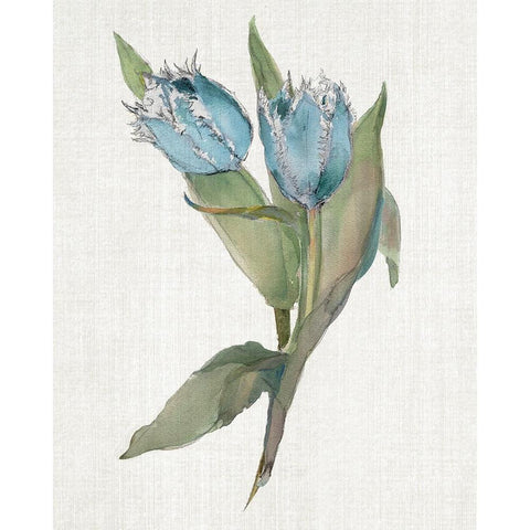 Blue Tulip Picks II Black Modern Wood Framed Art Print by Troise Heidel, Theresa