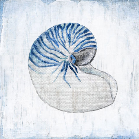 Blue Shell II White Modern Wood Framed Art Print with Double Matting by Tava Studios