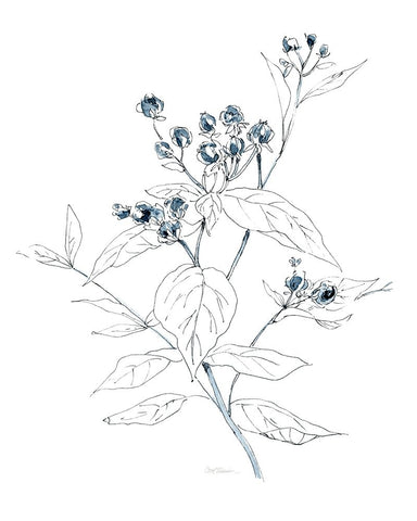 Indigo Sketch I Black Ornate Wood Framed Art Print with Double Matting by Robinson, Carol