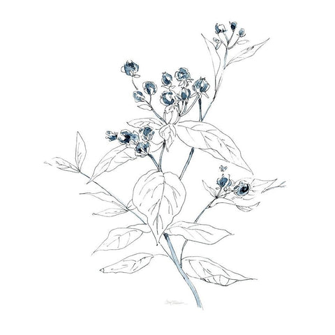 Indigo Sketch I Black Modern Wood Framed Art Print with Double Matting by Robinson, Carol