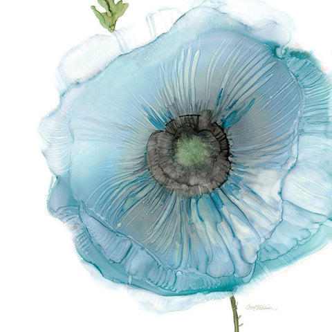 Iridescent Blue Poppy II Black Modern Wood Framed Art Print with Double Matting by Robinson, Carol