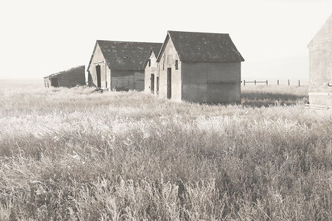 Neutral Barn Black Ornate Wood Framed Art Print with Double Matting by Robinson, Carol