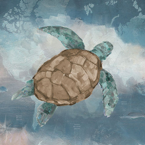 Traveling Turtle I White Modern Wood Framed Art Print with Double Matting by Swatland, Sally