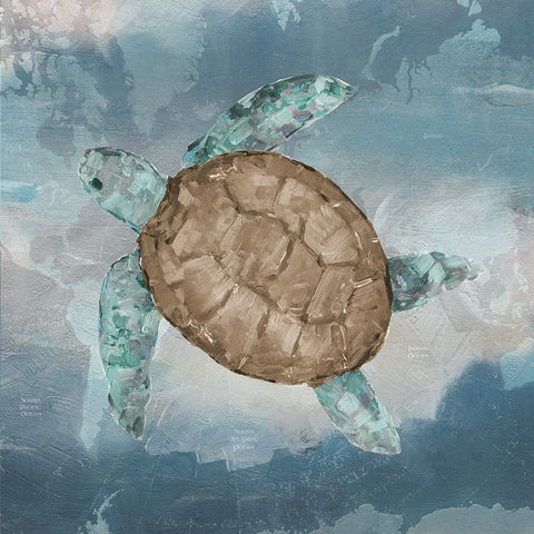 Traveling Turtle II White Modern Wood Framed Art Print with Double Matting by Swatland, Sally