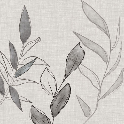 Botanical Sketch II Black Ornate Wood Framed Art Print with Double Matting by Jill, Susan