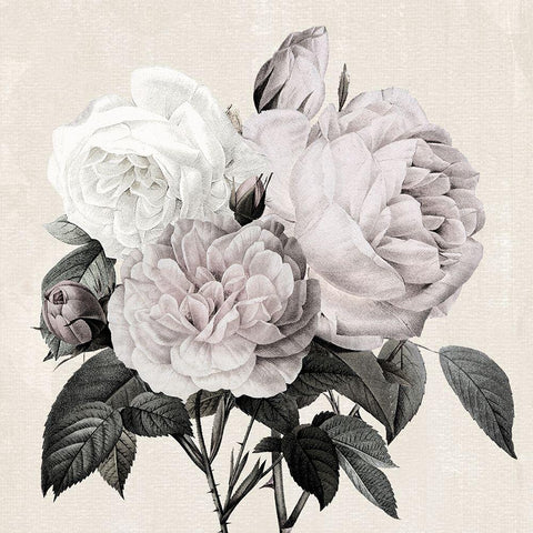 Botanical Arrangement I White Modern Wood Framed Art Print by Donovan, Kelly