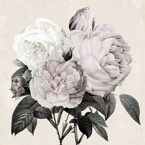 Botanical Arrangement I White Modern Wood Framed Art Print with Double Matting by Donovan, Kelly