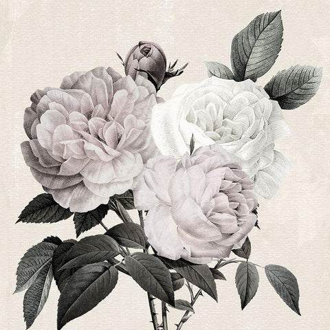 Botanical Arrangement II White Modern Wood Framed Art Print by Donovan, Kelly