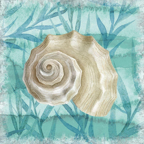 Shells Ashore I Gold Ornate Wood Framed Art Print with Double Matting by Knutsen, Conrad