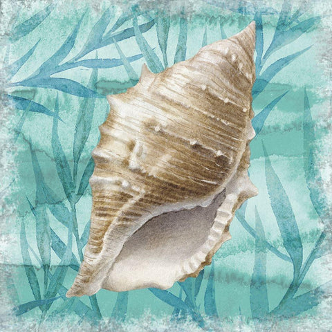 Shells Ashore II Black Modern Wood Framed Art Print with Double Matting by Knutsen, Conrad