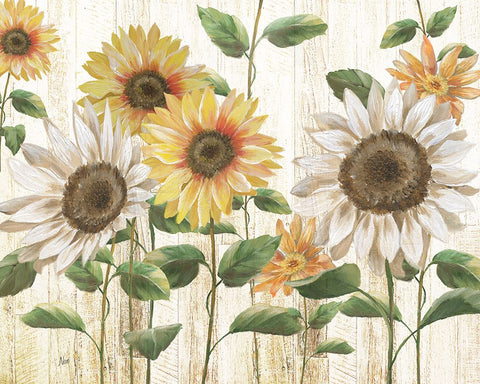 Sunflower Surprise Black Modern Wood Framed Art Print by Nan