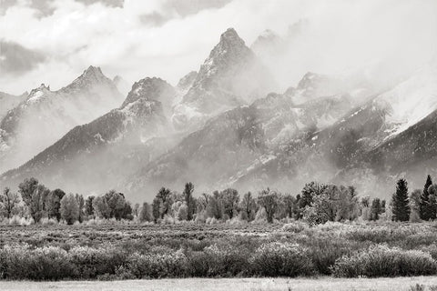 Teton Range Black Ornate Wood Framed Art Print with Double Matting by Delimont, Danita
