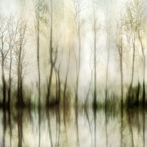 Misty Black Modern Wood Framed Art Print by Weisz, Irene