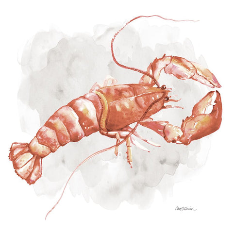 Lobster White Modern Wood Framed Art Print with Double Matting by Robinson, Carol