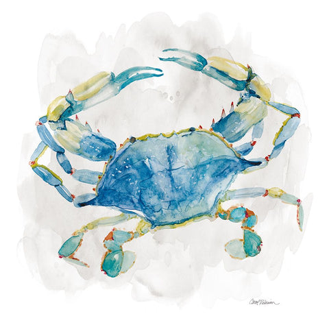 Crab White Modern Wood Framed Art Print with Double Matting by Robinson, Carol