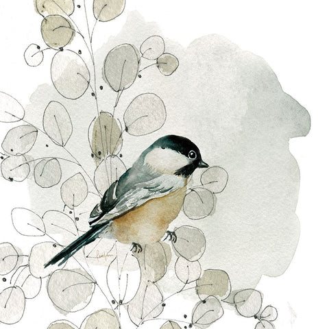 Botanical Sketchbook Bird I White Modern Wood Framed Art Print with Double Matting by Finn, Livi