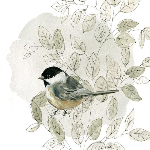 Botanical Sketchbook Bird II White Modern Wood Framed Art Print with Double Matting by Finn, Livi