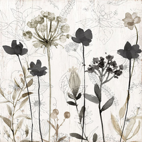 Sketchbook Nature I Black Modern Wood Framed Art Print by Finn, Livi
