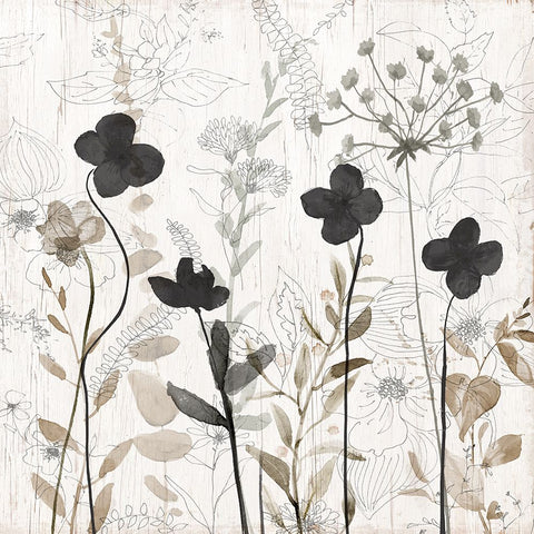 Sketchbook Nature II Black Ornate Wood Framed Art Print with Double Matting by Finn, Livi