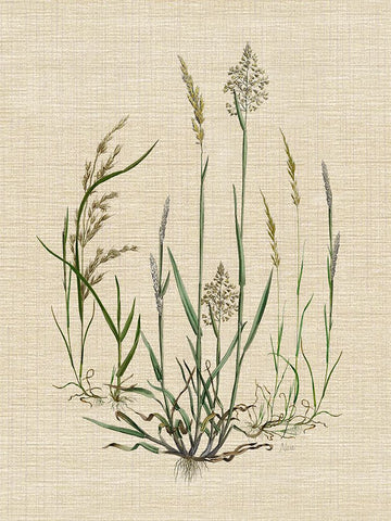 Linen Grasses I White Modern Wood Framed Art Print with Double Matting by Nan