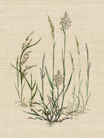 Linen Grasses I Black Modern Wood Framed Art Print by Nan