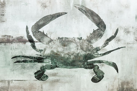 Neutral Crab I Black Modern Wood Framed Art Print by Nan