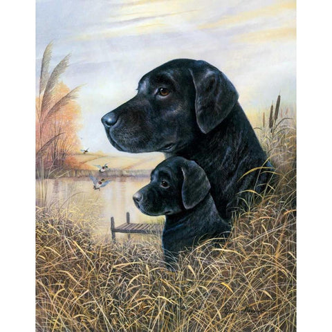 By the Dock Black Modern Wood Framed Art Print by Manning, Ruane