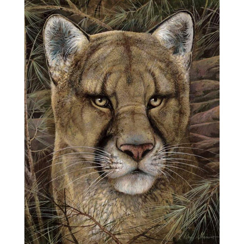 Elusive Encounter Black Modern Wood Framed Art Print with Double Matting by Manning, Ruane