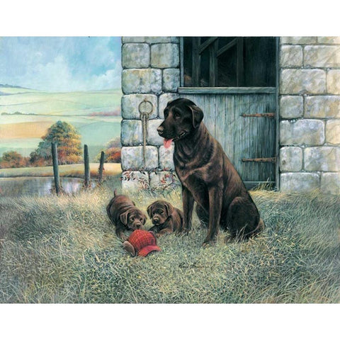 Playful Instincts Black Modern Wood Framed Art Print with Double Matting by Manning, Ruane