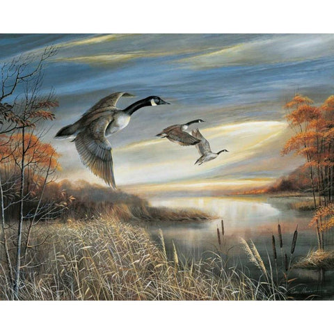 Migration South White Modern Wood Framed Art Print by Manning, Ruane