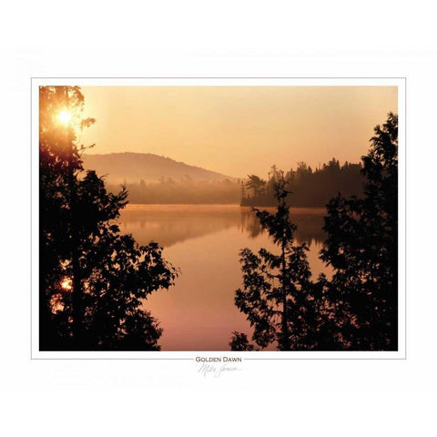 Golden Dawn White Modern Wood Framed Art Print by Jones, Mike