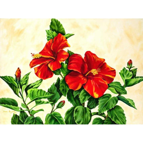 Red Hibiscus White Modern Wood Framed Art Print by Segrest, Jane