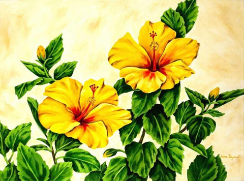 Yellow Hibiscus Black Ornate Wood Framed Art Print with Double Matting by Segrest, Jane