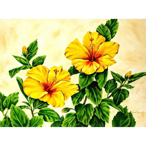 Yellow Hibiscus White Modern Wood Framed Art Print by Segrest, Jane