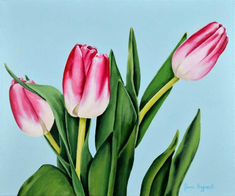Spring Tulips White Modern Wood Framed Art Print with Double Matting by Segrest, Jane