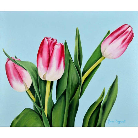 Spring Tulips Black Modern Wood Framed Art Print by Segrest, Jane