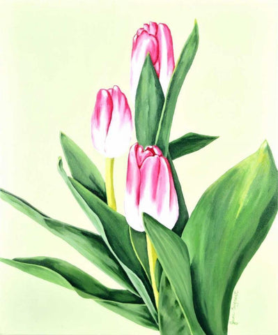 Three Tulips White Modern Wood Framed Art Print with Double Matting by Segrest, Jane