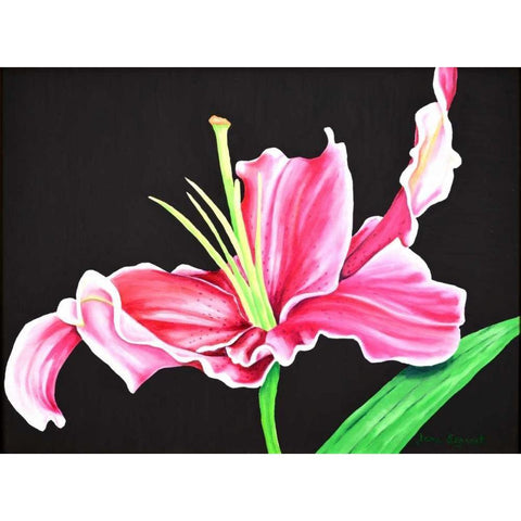 Pink Lily White Modern Wood Framed Art Print by Segrest, Jane