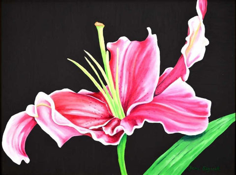 Pink Lily Black Ornate Wood Framed Art Print with Double Matting by Segrest, Jane