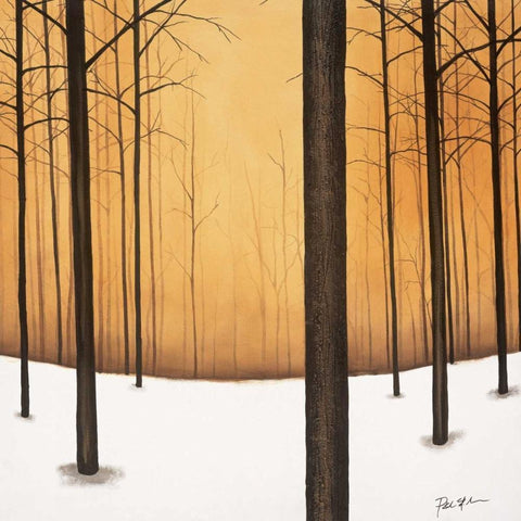 Golden Twilight Black Modern Wood Framed Art Print by St.Germain, Patrick