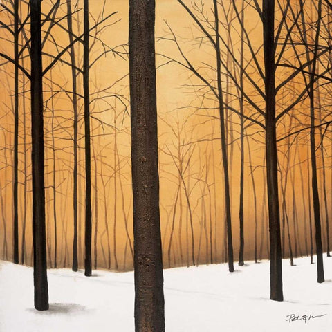 Winter Warmth Black Modern Wood Framed Art Print by St.Germain, Patrick